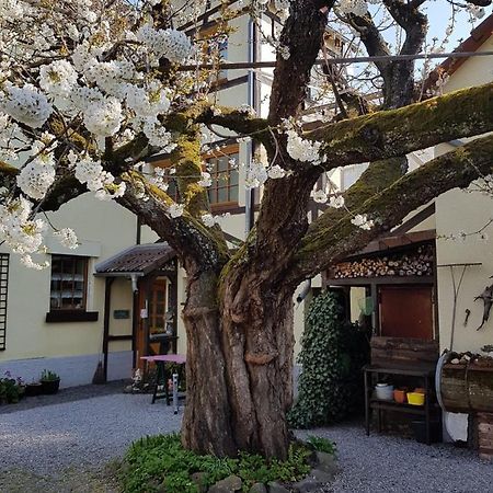 Ferienwohnung Zum-Alten-Kirschbaum Limburg an der Lahn Exterior photo