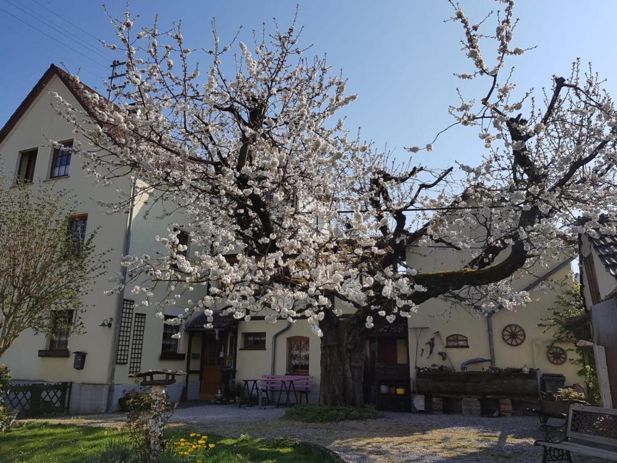 Ferienwohnung Zum-Alten-Kirschbaum Limburg an der Lahn Exterior photo