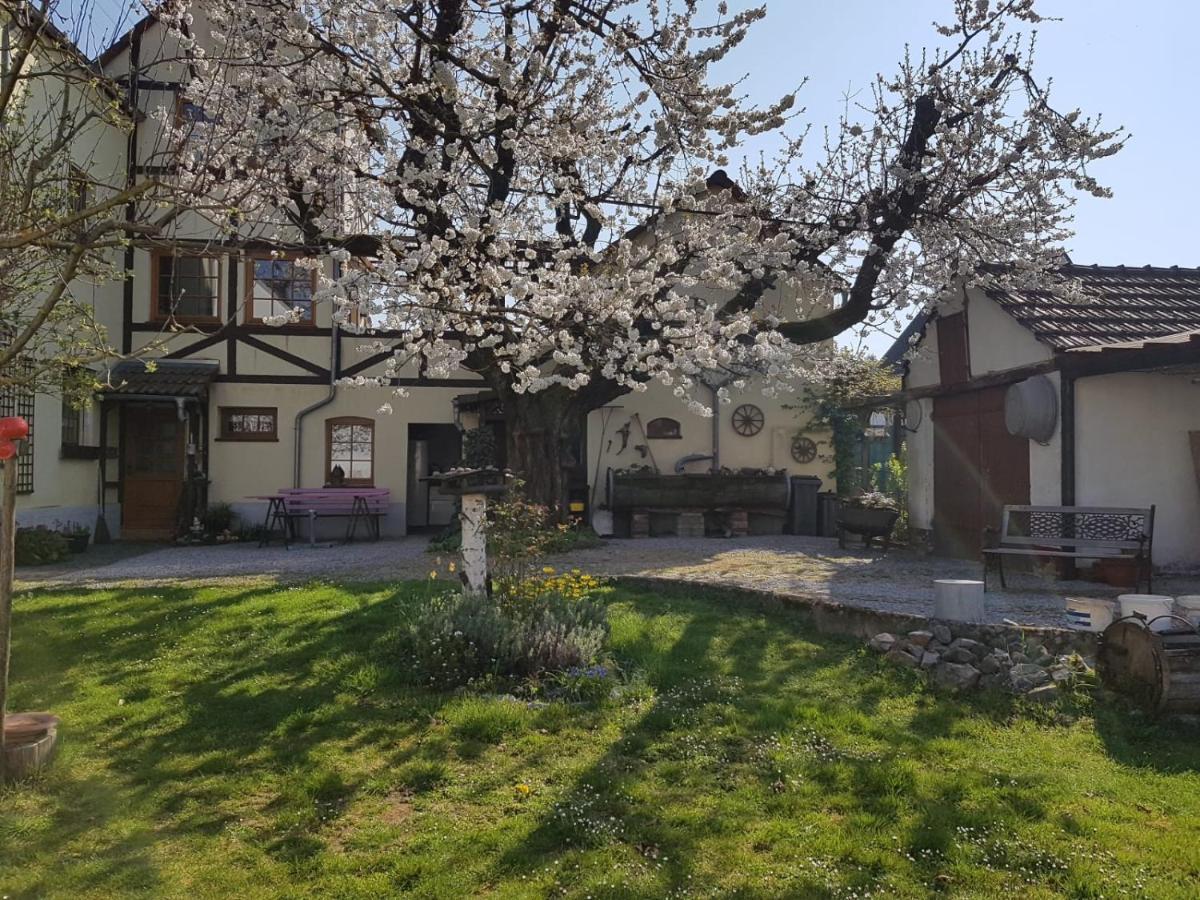 Ferienwohnung Zum-Alten-Kirschbaum Limburg an der Lahn Exterior photo